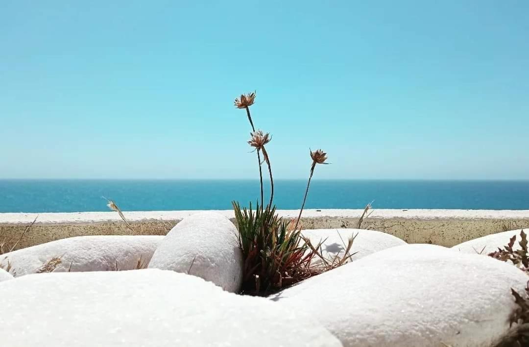 Appartement Tininha Da Ilha - Escape Peniche