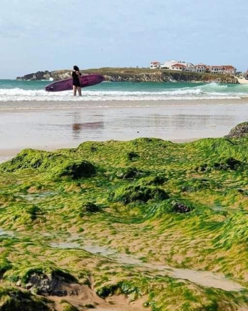 Tininha Da Ilha - Escape Peniche
